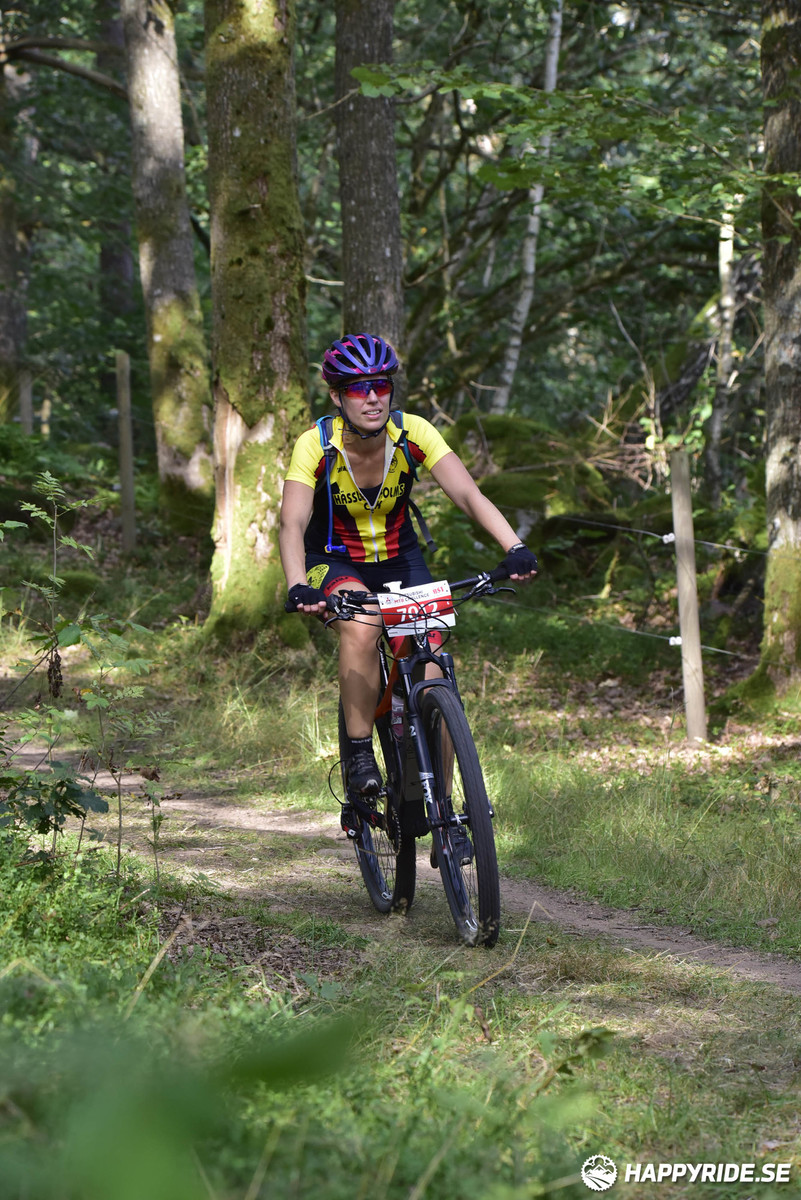 Bild från Bockstensturen 2019